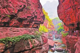 礼赞新中国 出彩大中原·焦作篇丨文旅融合竞芳菲图片