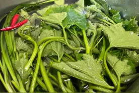 潇潇聊美食丨南瓜藤，是蝉鸣风吹的一整个夏天图片