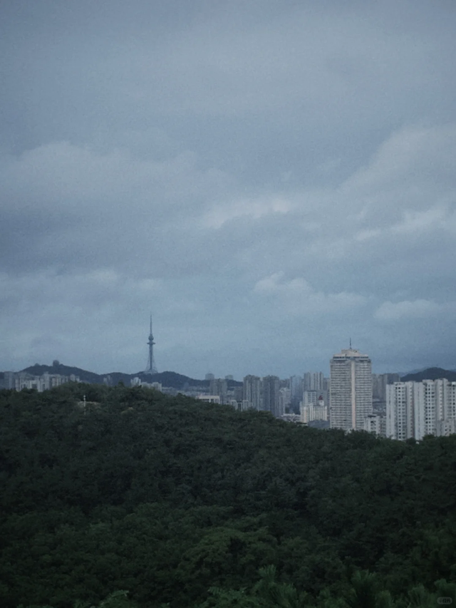 烟雨市北~不必赴江南，雨落此间即诗意