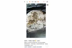 网友在威海海边捡到疑似龙涎香价值800万元？业内人士：需鉴定图片