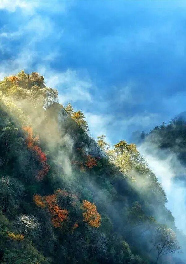 绝绝子！除了绝绝子，我还能怎么夸洛阳