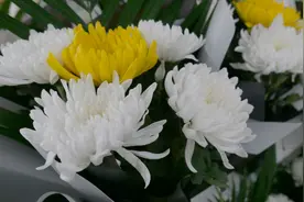 他21年背近300名老兵骨灰回大陆，父亲曾用一生积蓄支持……图片