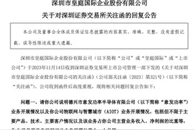 皇庭国际回复深交所关注函：不存在配合市场炒作、“蹭热点”行为，芯片子公司净利润连续4年亏损图片