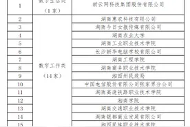 湖南发布70家全民数字素养与技能培训基地名单图片