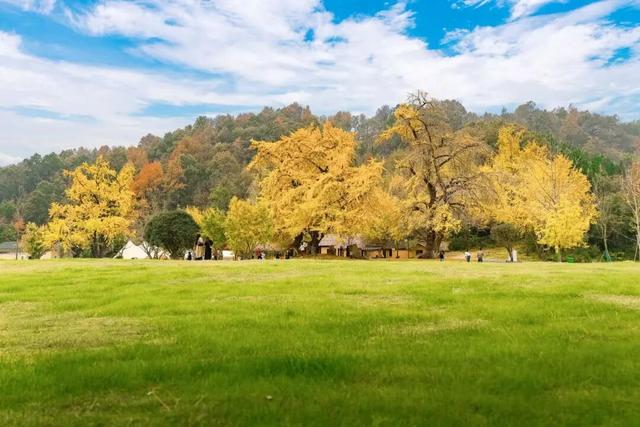 这6个新晋“度假顶流”，承包你的四季美好