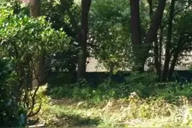 把钱埋到地下，竟是为了“治病”？原来……图片