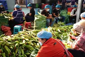 【稳经济 促发展】惠企培“优” 民营经济发展正当时图片