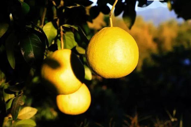 提到家乡韶关，张颂文就是那么“傲娇”！