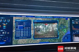 东北虎豹国家公园三周年：分与合、退与进、防与疏 只为重现“众山皆有虎”图片