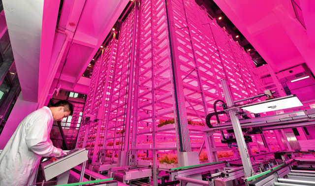 瞭望·治国理政纪事丨从全国大局把握自身战略使命