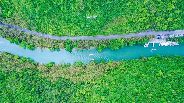紫云旅游品牌影响力和市场吸引力显著提升