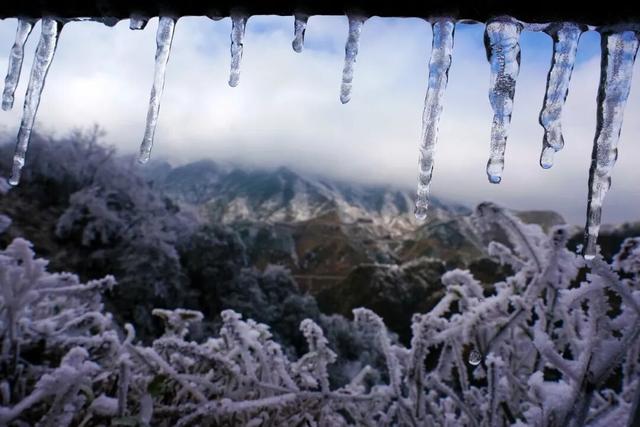 多图直击融水雾凇美景