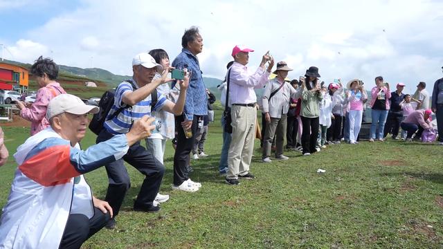 ​乌蒙大草原景区：迎来避暑旅游高峰，日均接待游客1万多人次