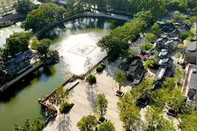 招募中！热爱水乡“打卡”的你，一定也想来广州千年古运河边种树吧图片