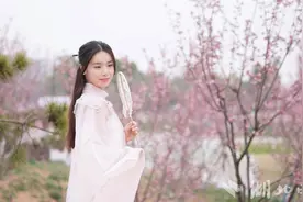 “中国最浪漫水上樱花园”，在长江新区开园图片