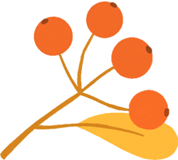 青睐绵阳 ‖ 层林尽染，枫顺邀你共赴红叶之约