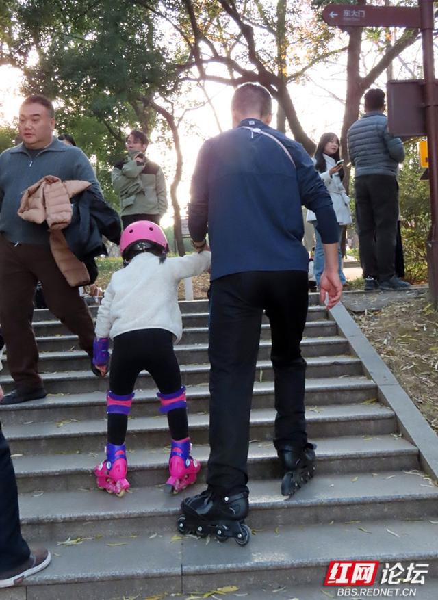 当冬日金光洒满年嘉湖，便是长沙最动人的模样