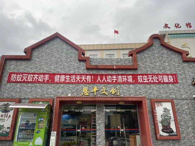 图集|恩平市文化广电旅游体育局全面开展防风、防蚊工作