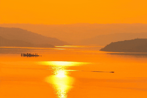 绝绝子！除了绝绝子，我还能怎么夸洛阳