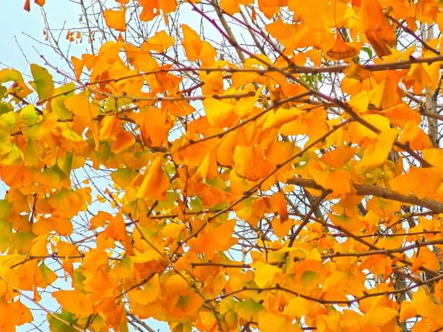 信宜这条“黄金走廊”很出片