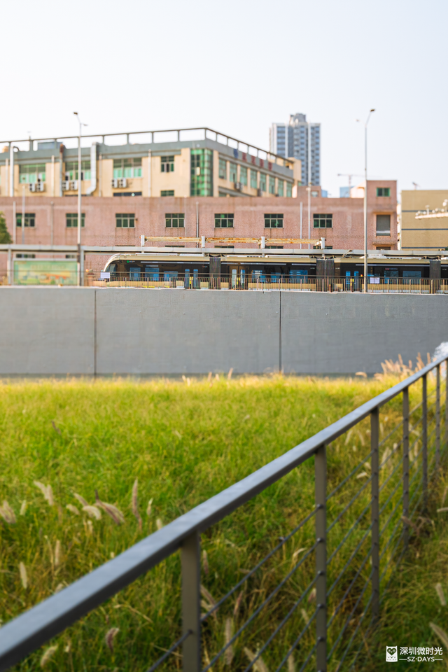 新地标！漂在水上的「白色山丘」，羡慕龙华人！