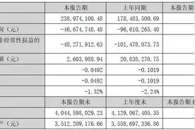 凯撒文化上半年营收增三成、亏损收窄，净现金流持续为负图片