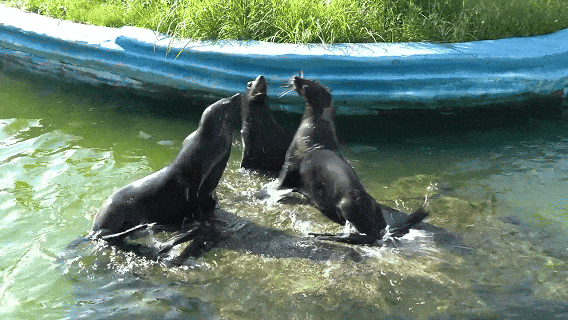 限时免费！江北有7家！