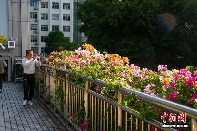 广西南宁：“彩虹”飞架闹市间