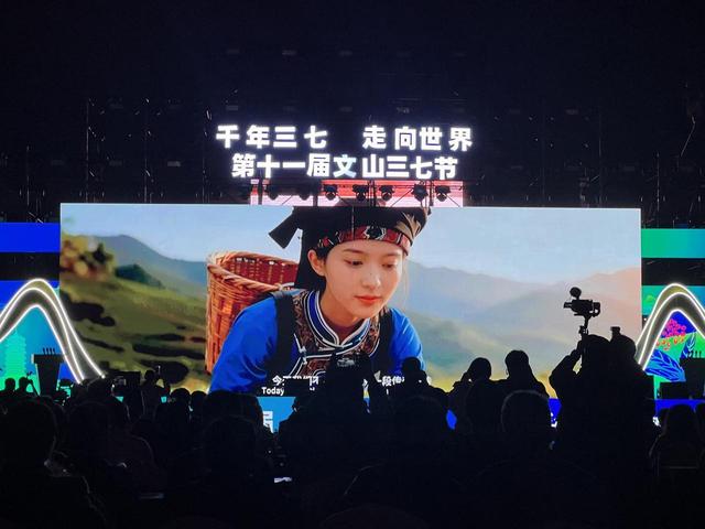 第十一届文山三七节开幕