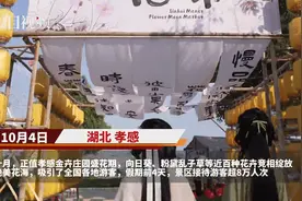 对全国60岁以上游客实行免门票优惠，孝感金卉庄园迎“孝老游”高峰图片