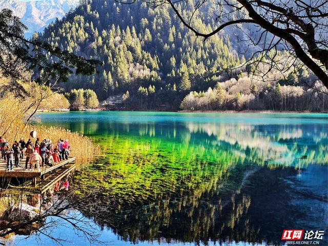 九寨沟的冬日浪漫：雪吻海子，阳光作画，太治愈了