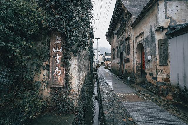 碧山十年：为何我们需要失败的乌托邦？