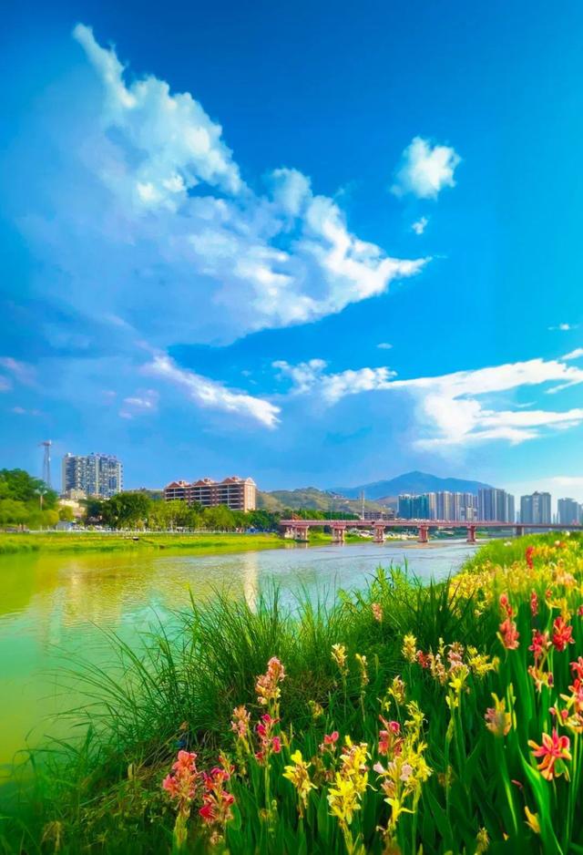 云新闻·滇地宝藏②丨云卷云舒处，云南这座“云端小城”藏着秋日惊喜