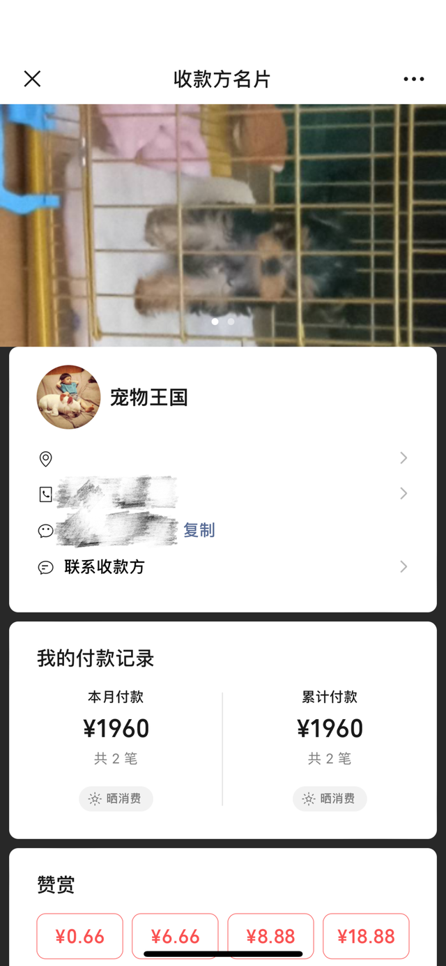 女子网购宠物遇陷阱！到货的“萌宠”是病狗，且另买狗粮才“包活”丨追踪到底