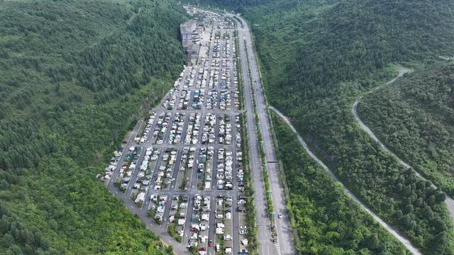 贵州“省花”，在毕节？