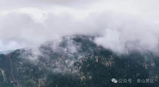 天晴了，雨停了，泰山云海先睹为快