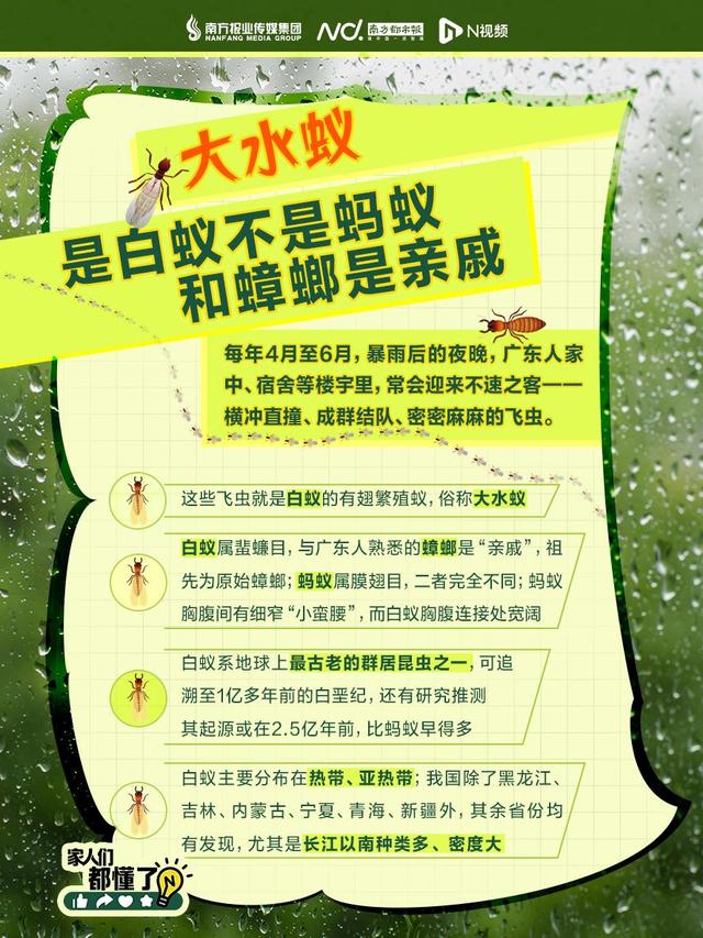 头皮发麻！不少广东人家里突现大量飞虫，紧急提醒