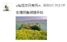 以为只是一个普通的马路边，没想到……