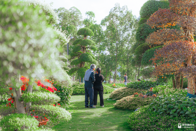 先睹为快！深圳巨型新地标启用，就在明天！