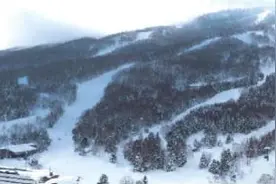 多名中国公民在日本滑雪遭遇意外图片