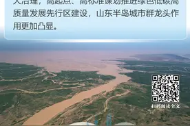 大河奔流勇向前！请看新时代山东黄河流域生态保护和高质量发展故事图片
