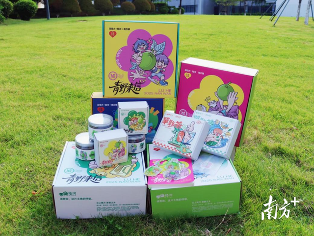 AI与青梅巧妙融合，深信大与陆河县双向奔赴