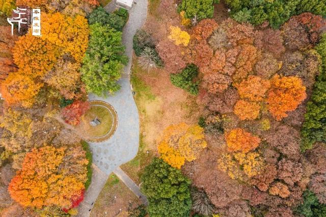 秦淮citywalk｜七桥瓮湿地公园