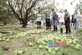 屋顶被吹走 14米高牌楼倒塌！台风“丹娜丝”袭台酿灾情，致2死500余伤图片