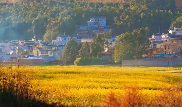 弥勒千亩油菜花海,太出片啦