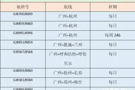 广州起飞！长龙航空十周年上线多重服务，大湾区出行更便捷图片