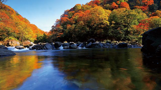 中国红叶黄金走廊联合推介活动走进四川光雾山，三大精品路线发布
