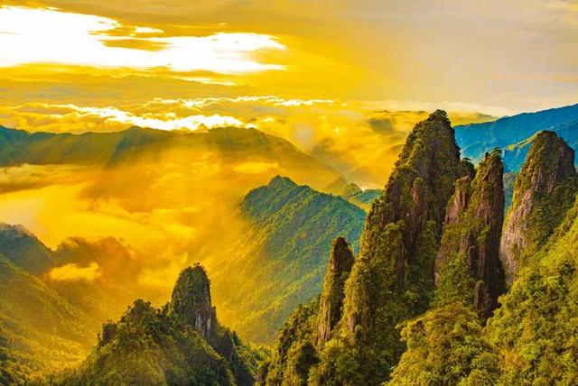 和顶流博主做旅行“搭子”，是种什么体验？