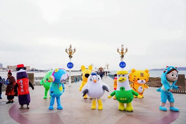 限定周边等你拿！青岛海鸥季打卡全攻略，超多玩法速看→