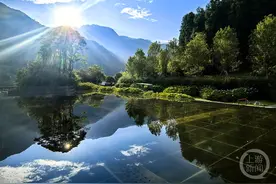 “秋意”（96） | 上游主题摄影征稿作品展——朱志宏作品图片